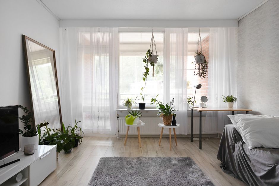 Bringing the Outdoors In: A Beginner's Guide to Botanical Home Decor