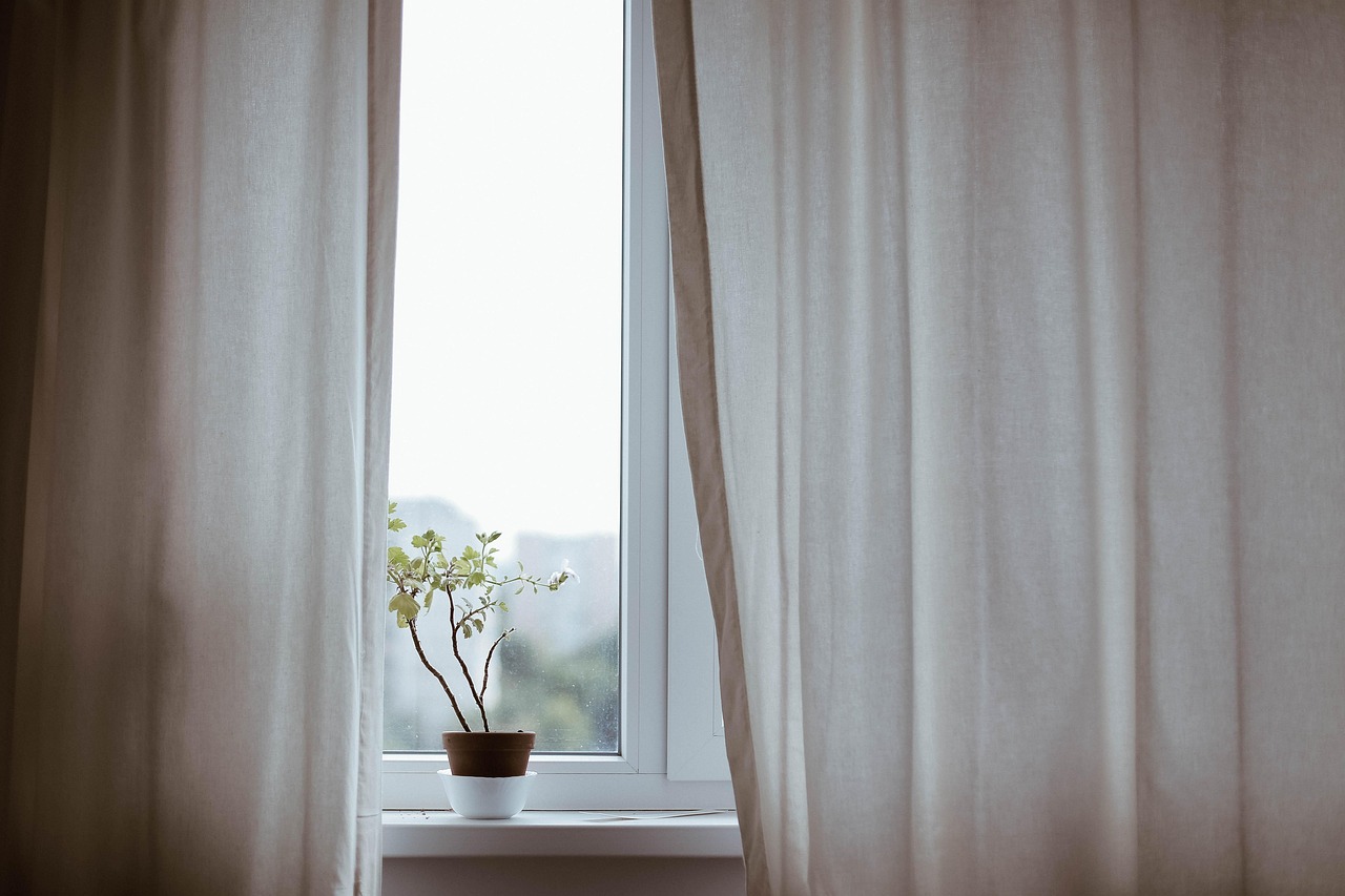 The Art of the Indoor Jungle: Styling Plants Like a Designer