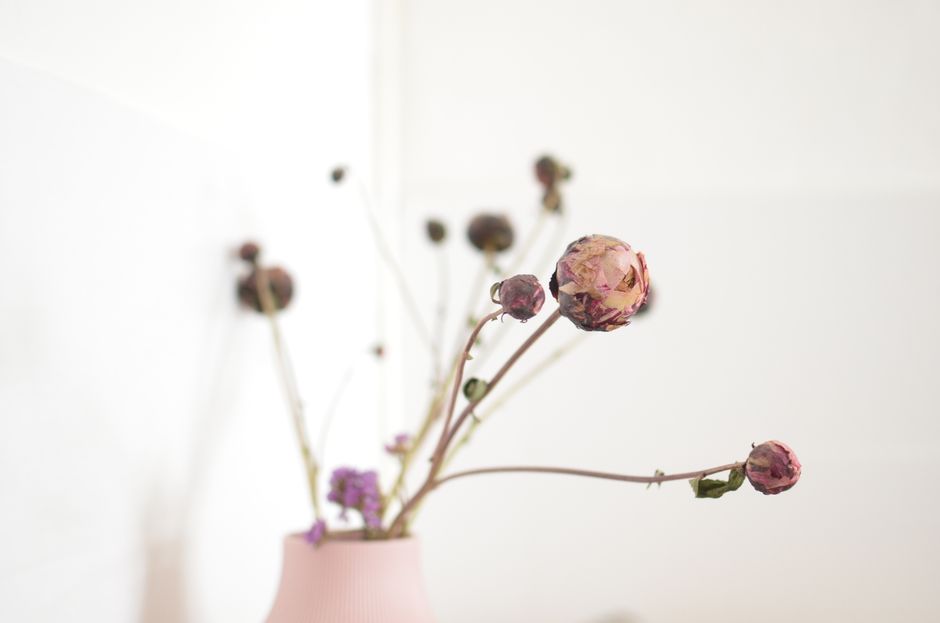 The Quiet Magic of Dried Flowers: Styling Ideas for Every Season